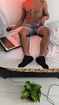 Portandome webcam