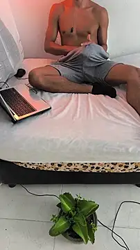 Portandome webcam