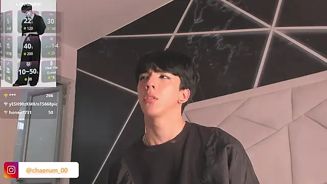 AerumChae webcam