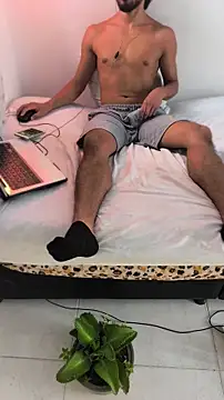 Portandome webcam