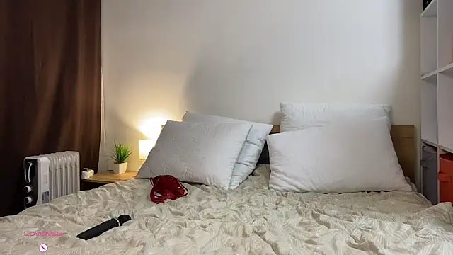 SunriseGuys webcam
