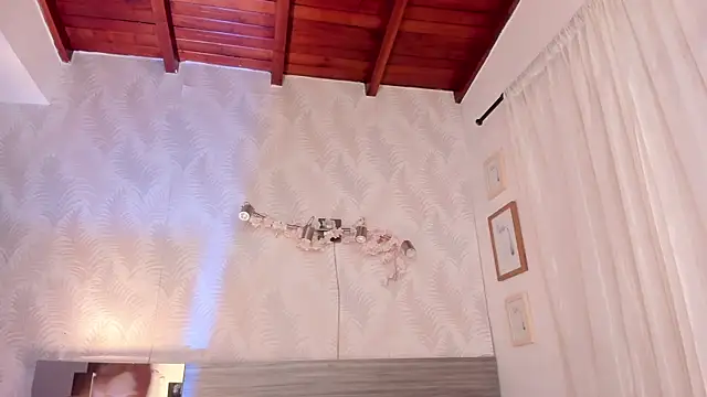 Mistyca webcam