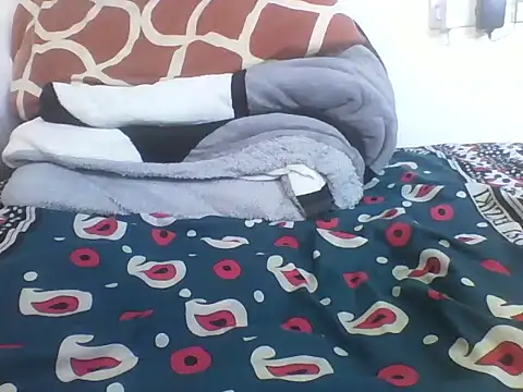 plittle2 webcam
