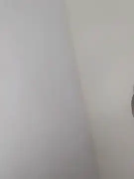 sexylira webcam
