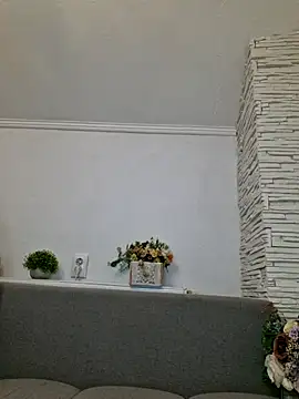 siamelton webcam
