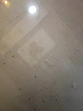 Pop_Eclipse webcam