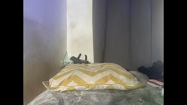 texpig webcam