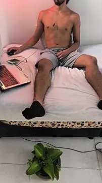 Portandome webcam