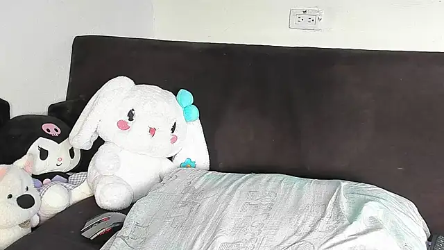 Eirlysx webcam