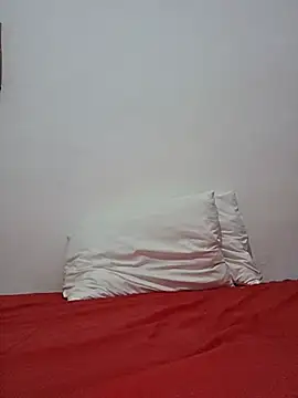 altinya webcam