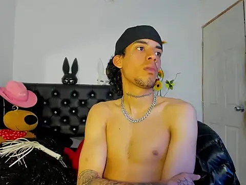 Ryder-Stone webcam