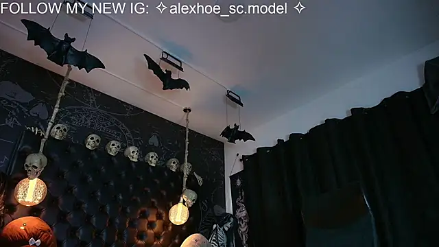 AlexHoe_ webcam