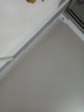 NicoleEsposito webcam