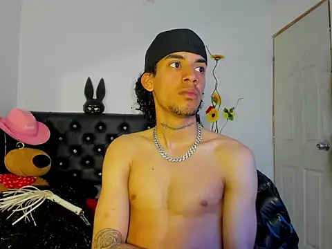 Ryder-Stone webcam