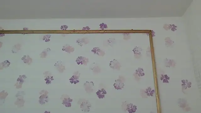 Karol_prescot webcam