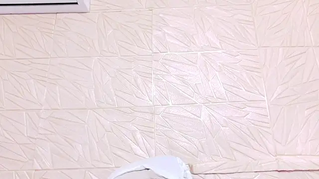 nina_bae webcam