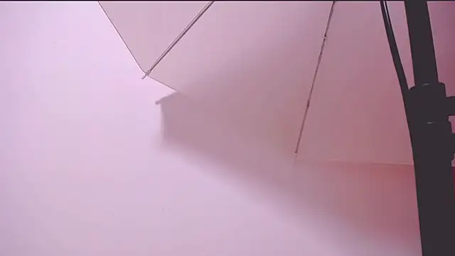 MaidenGame webcam