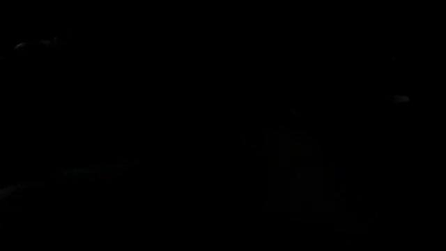 BIG_FAT_BEAR webcam