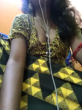 jasss-12x webcam