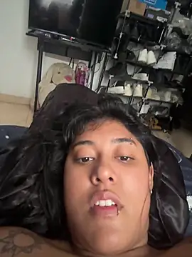 pawmistry webcam