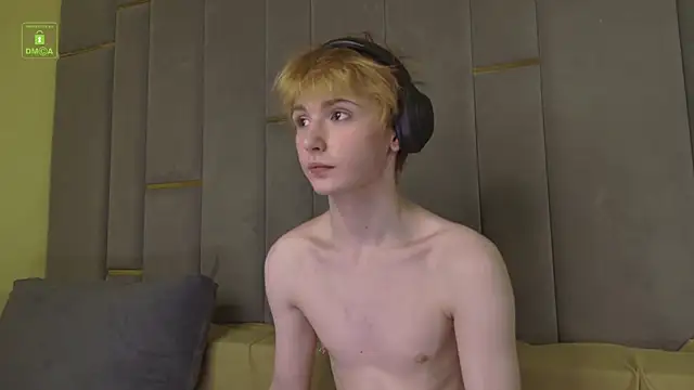Your_avatar webcam