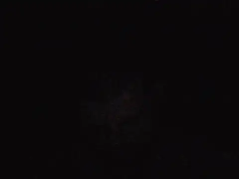 cyrex_monster webcam