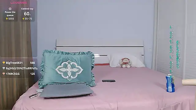 sasating webcam
