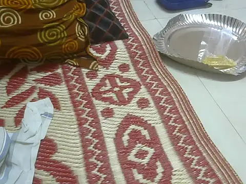 desi_llund webcam