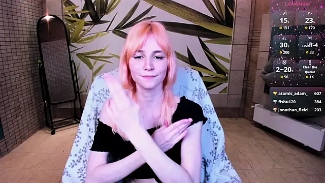 fleximona webcam