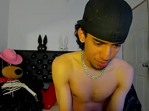Ryder-Stone webcam