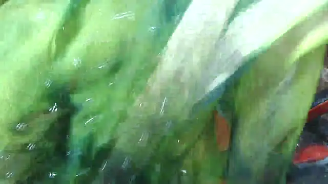 Cute_Mahi22 webcam
