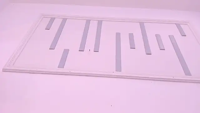 aniemorningstar webcam