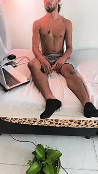 Portandome webcam
