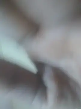 sexylira webcam