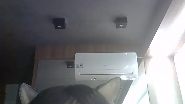 SkinnyKitten webcam
