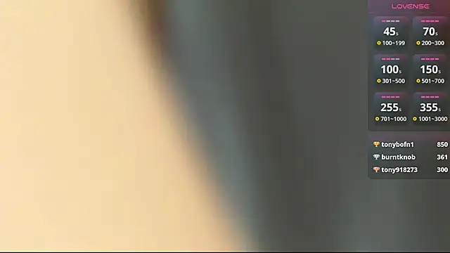 EvaRenard webcam