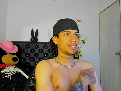 Ryder-Stone webcam