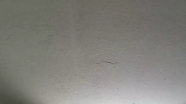 Johnny1991Blunt webcam