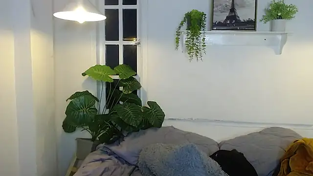 Jesve webcam