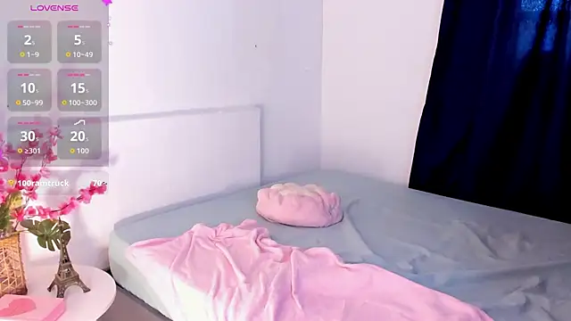Nikkibounce webcam