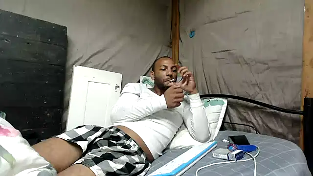 Camodick webcam