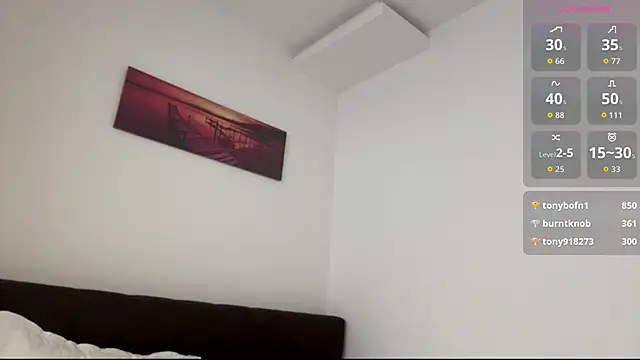 EvaRenard webcam