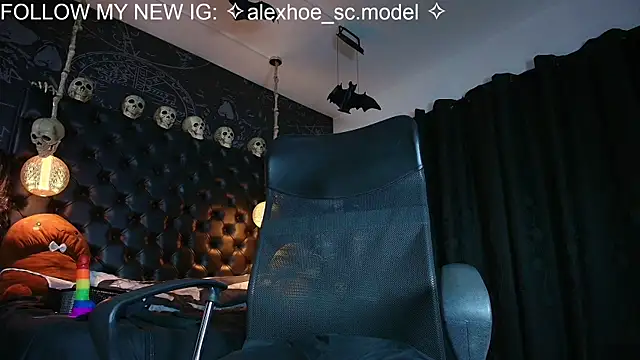 AlexHoe_ webcam