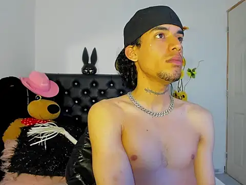Ryder-Stone webcam