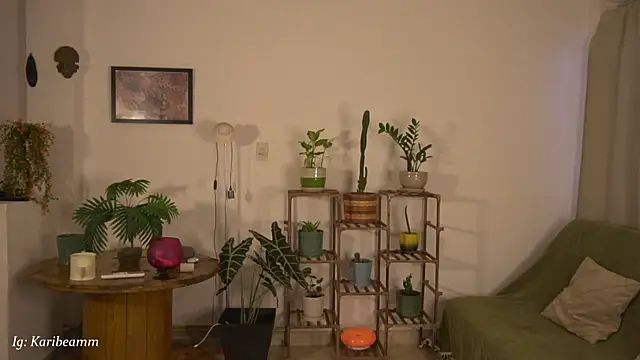Karibeam webcam