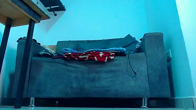 mastersmits webcam