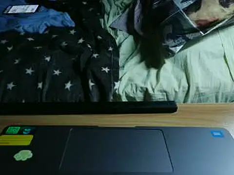 VeneRed webcam