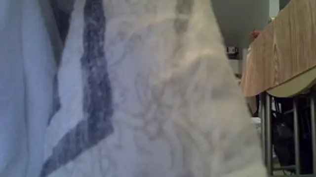 Gaditannus40 webcam