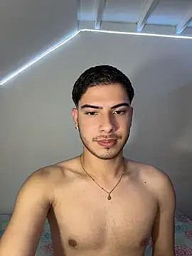 ApoloGray__ webcam
