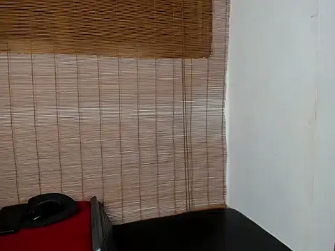 rocco_gym webcam